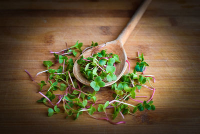 High angle view of chopped vegetables on table