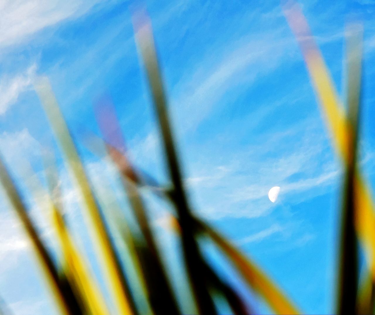 VIEW OF BLUE SKY AND CLOUDS