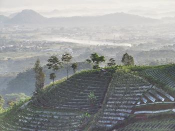 High angle view of trees on field against mountains