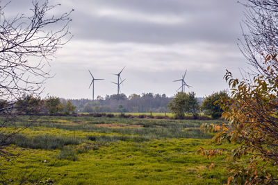 Scenic view of field against sky