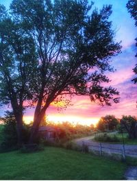 Scenic view of grassy field against sky at sunset