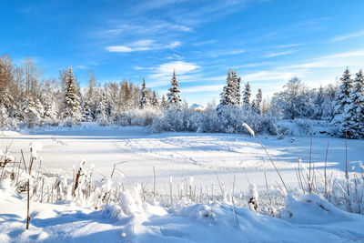 Snow covered field against sky during winter