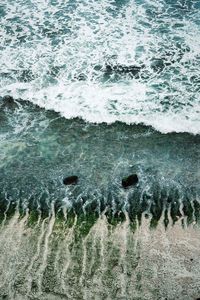 High angle view of crab on sea shore