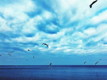 Seagulls flying over sea against sky