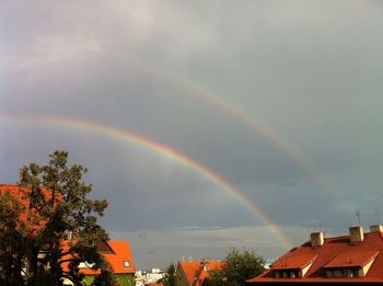 Rainbow over buildings