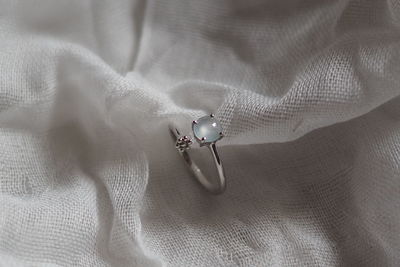 High angle view of person holding ring on white background