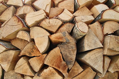 Full frame shot of firewood in forest