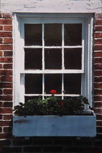 Close-up of brick wall with windows