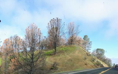 Road amidst trees against sky