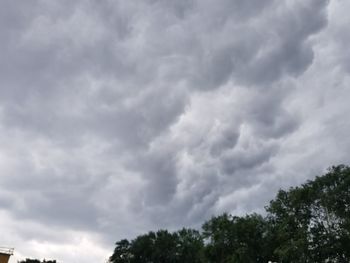 Low angle view of trees against cloudy sky