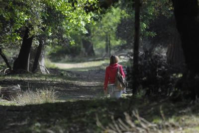 Boy walking in forest