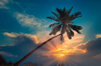 Low angle view of palm tree against sky during sunset