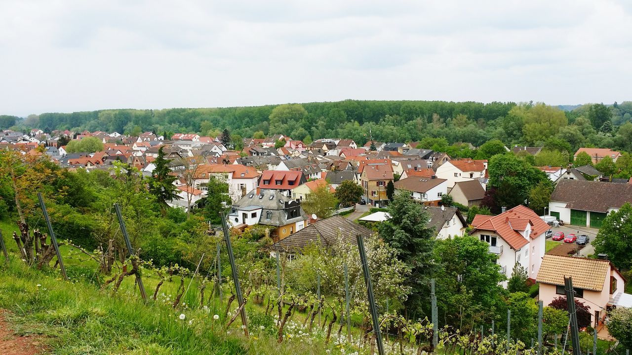 building exterior, architecture, built structure, house, tree, residential district, residential structure, high angle view, townscape, sky, residential building, town, crowded, cityscape, roof, hill, landscape, city, community, mountain