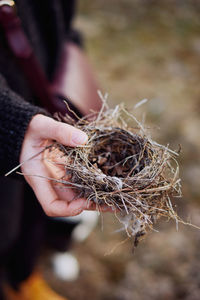 Midsection of woman holding bird nest