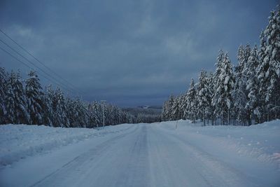 Snow covered road amidst bare trees against sky