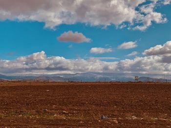 Scenic view of agricultural field against sky