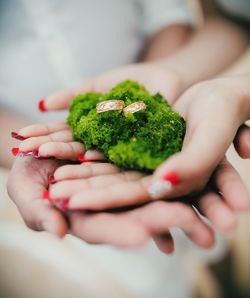 Close-up of couple hands holding wedding rings on moss