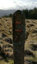 Close-up of wooden post on field against sky