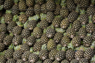 Full frame shot of pineapples at market stall