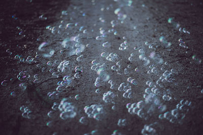 Close-up of bubbles