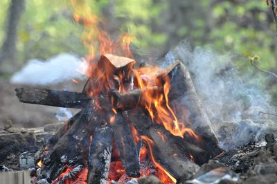 Close-up of bonfire