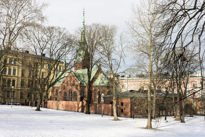 Bare trees on snow covered buildings in city