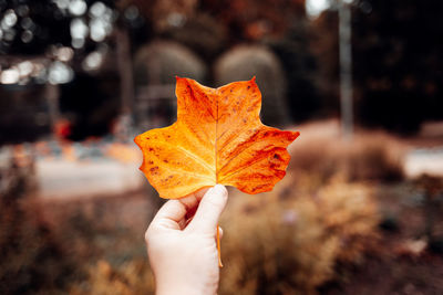 Close-up of hand holding leaf during autumn