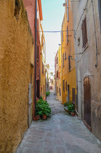 Narrow alley amidst buildings in town