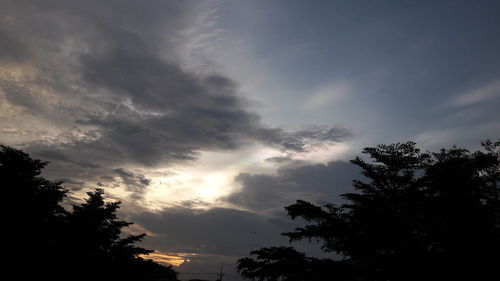 Low angle view of silhouette trees against sky