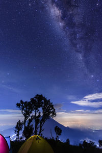 Low angle view of trees against sky at night