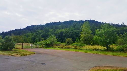 Country road passing through forest