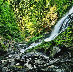 Waterfall in forest