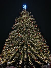 Low angle view of illuminated christmas tree at night