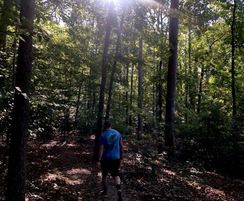 Rear view of man walking in forest