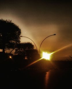 Silhouette of trees at sunset