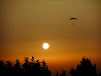 Low angle view of silhouette trees against orange sky