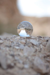 Close-up of ball balls