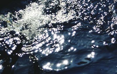 Reflection of trees in water