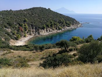 Scenic view of sea and trees against sky