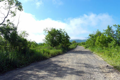 Road amidst trees against sky