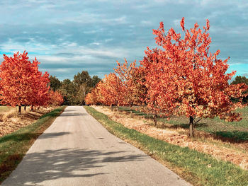 Road amidst trees against sky during autumn