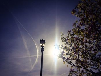 Low angle view of tree against sky