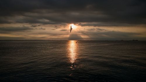 Silhouette bird flying over sea against sky during sunset