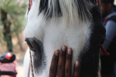 Close-up of human hand touching outdoors