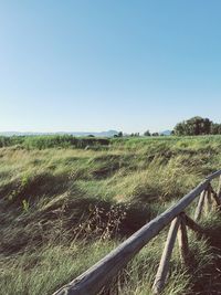 Scenic view of field against clear sky