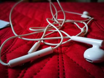 Close-up view of red leaves