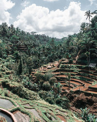 Aerial view of landscape against sky