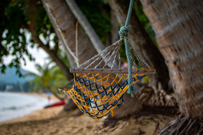 Close-up of fishing hanging on rope