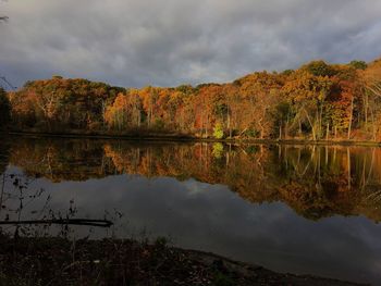 Reflection of trees in lake during autumn