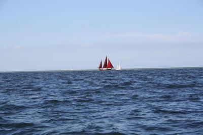 Sailboat sailing on sea against sky